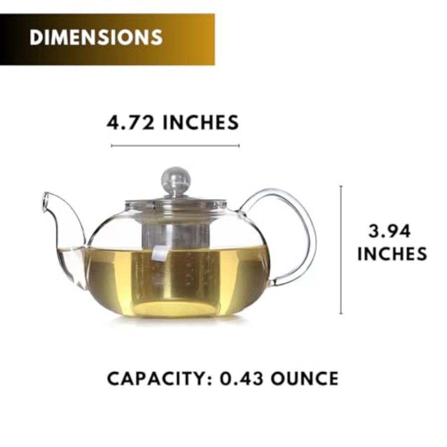 20 oz 600ml Small Clear Glass  - Loose Leaf Tea Infuser review and price